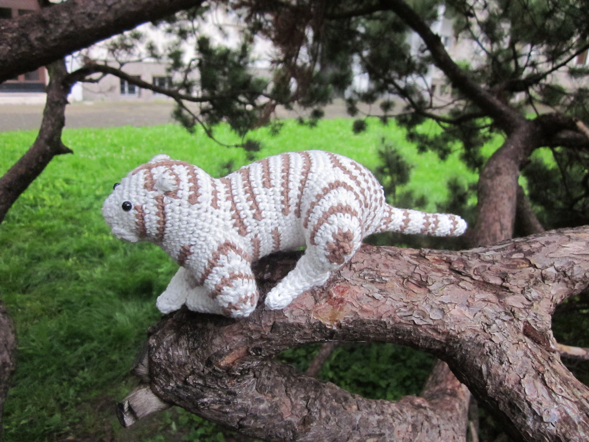 Test crochet - Tigre blanc - Bienvenue chez moi !