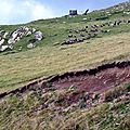 Les vautours près du col Sensibilé...