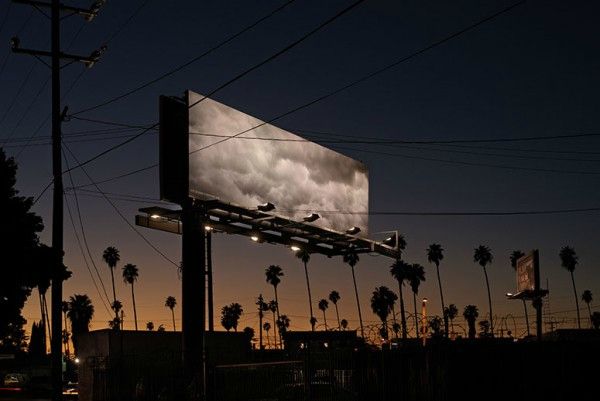 billboard_kerri_tribe-600x401