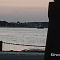 DSC09564