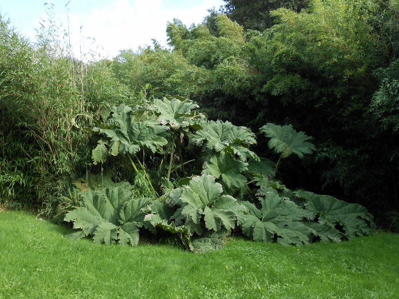 Jardin Exotique De Saint Renan