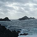 P1030883