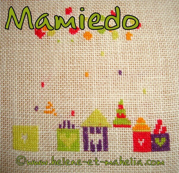 mamiedo_salnov15_5