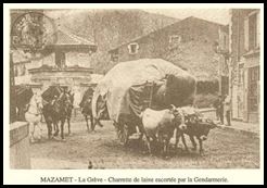 090421mazamet