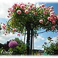 Giverny11