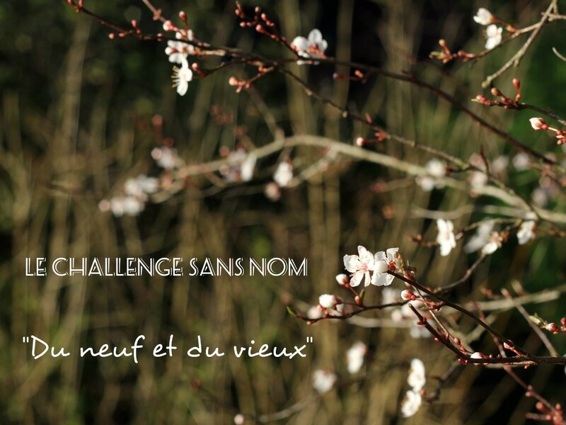 Challenge sans nom - Neuf et vieux