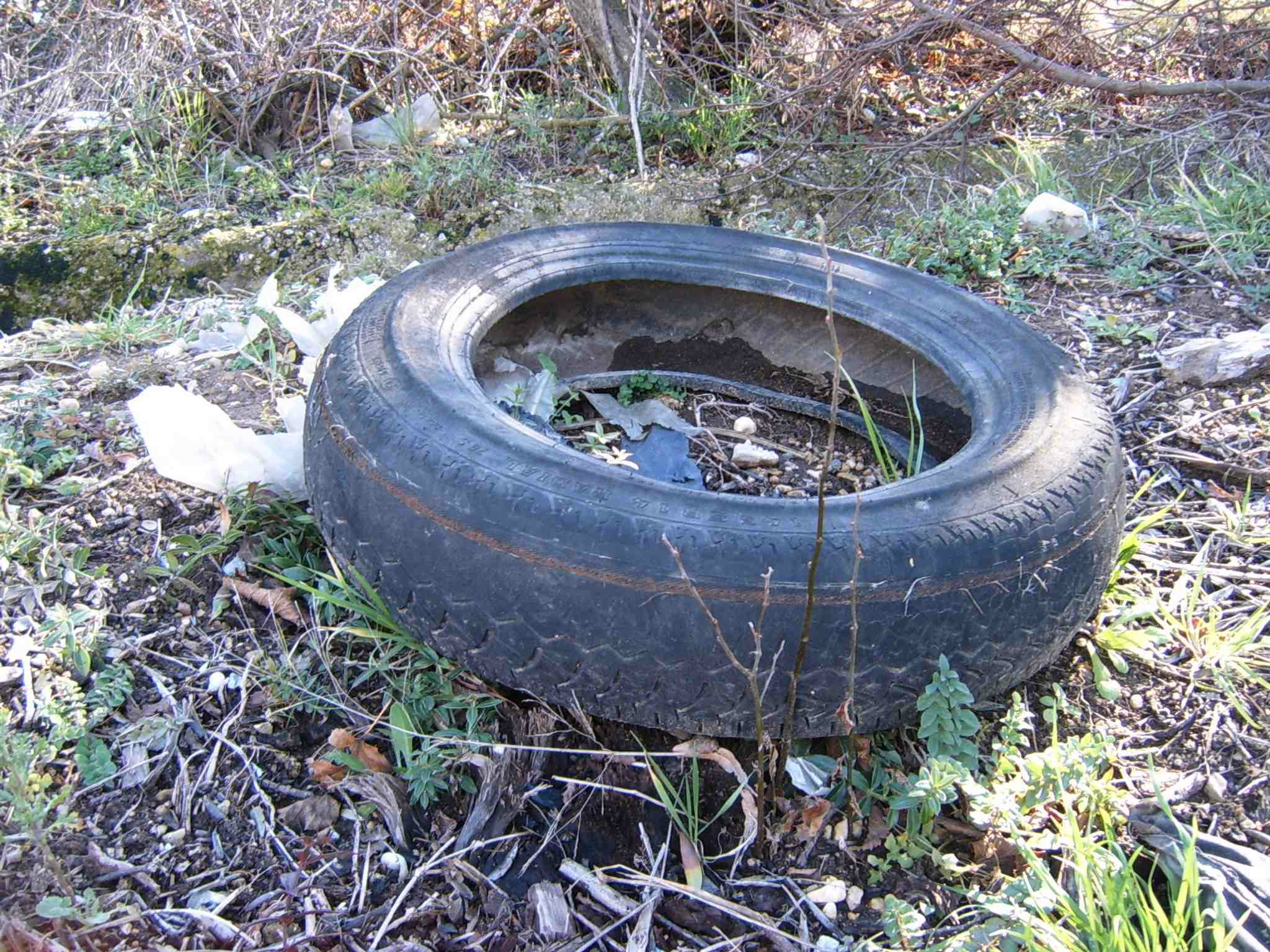 Déchet pneu dans nature 3 - déchet sauvage - pollution