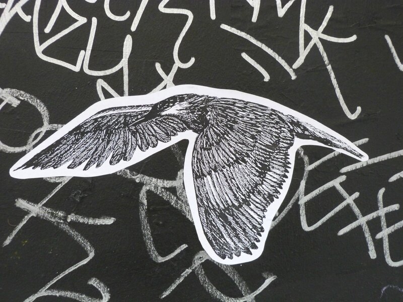 Oiseaux 6