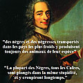 Voltaire et ses écrits racistes, antisémites et négrophobes
