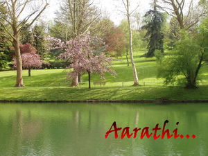 Parc__17_