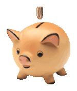 cochon