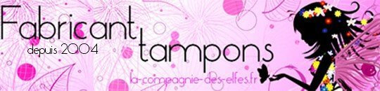 la-compagnie-des-elfes-logo-1500024025
