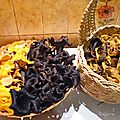 Une girolle parmi les feuilles de h�tres...