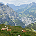 Retour en suisse pour faire le plein de randonnées, 3ème partie
