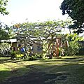 DSC03919