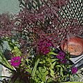 _DSC0030
