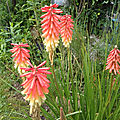 20190622_113228