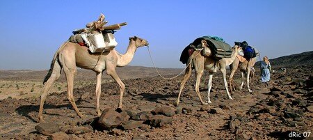 mauritanie_3567