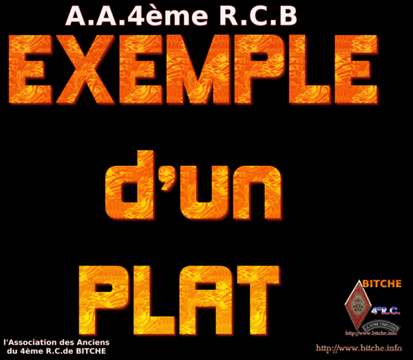 EXEMPLE D'UN PLAT 001