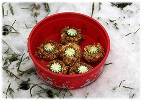 biscuitcheval (5)