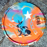 20130603RabbitPixPedroWeb002
