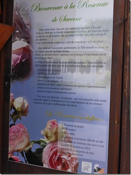 P1030845