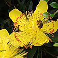 DSCF2644
