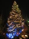 sapin