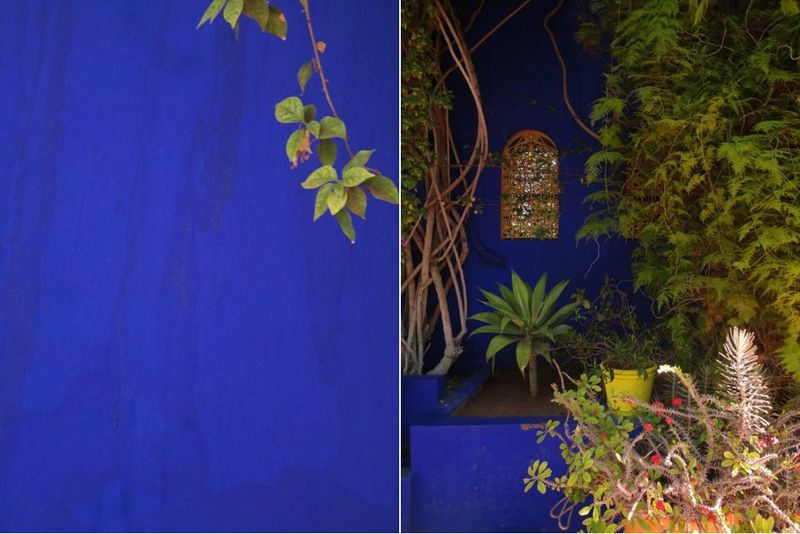 majorelle1