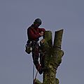 _IGP3611