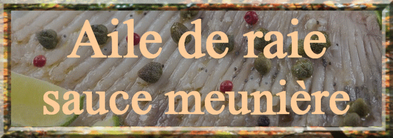 Anim titre