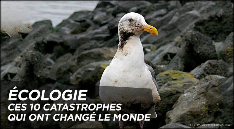 1000x550_video_ecologie_ces_10_catastrophes_qui_ont_change_le_monde_pf