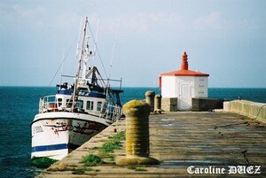 Barfleur_1020018_copie
