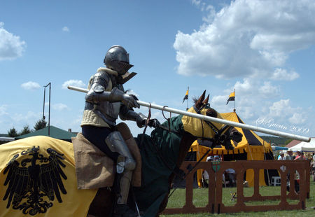 chevalier_sguerin_2009