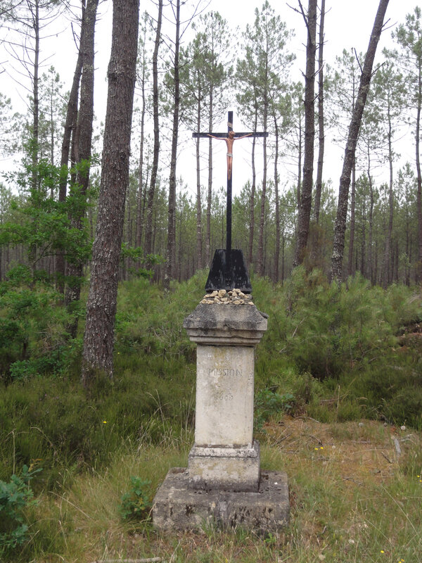 Photo-Escource_Landes_croix_en_forêt-face-terrain-lotissement