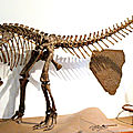 Plateosaurus