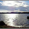 Divers Lacs et Etangs landais