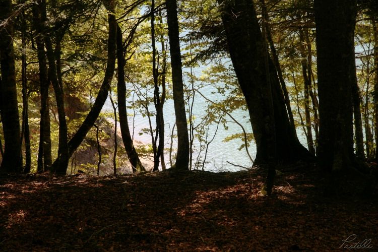 Lac Bious_13 04 08_8515