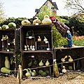 Les hortomnales de st rémy la varenne ... mais que fait le clown !