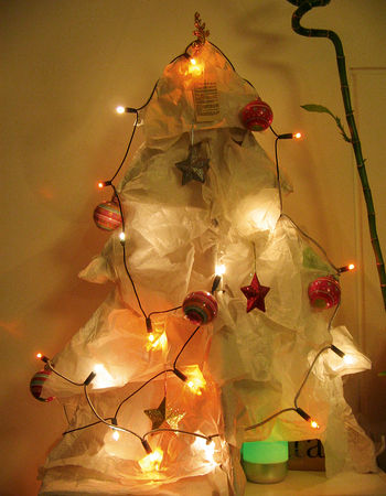sapin