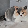 _DSC0572