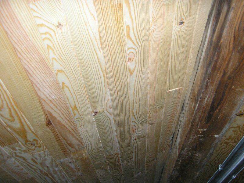 photo fin 2011 031