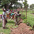 On s’active dans le jardin de niamakouna
