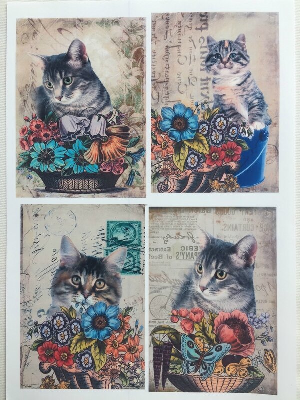 Pochette petits chats et fleurs 1