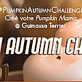 Pav (=pile à voir) | pumpkin autumn challenge 2020 