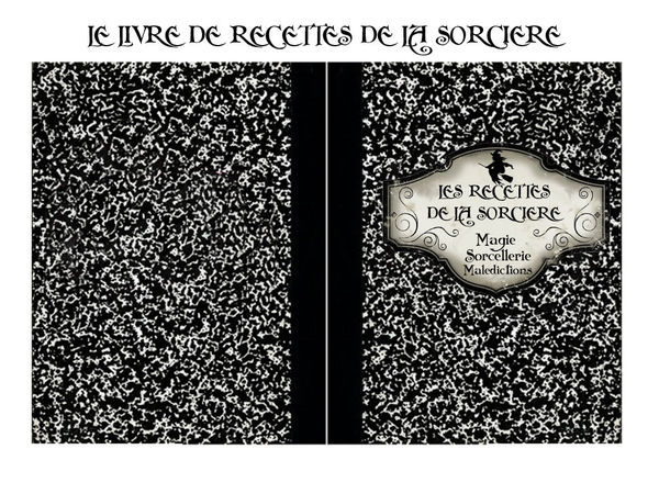 LIVRE_DE_RECETTES