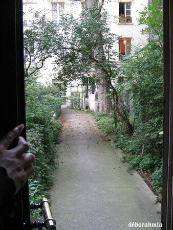 cour