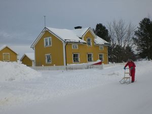 traineau