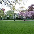 BOSTON COMMON PARK (172)