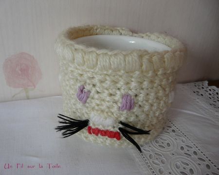 cache_pot_crochet